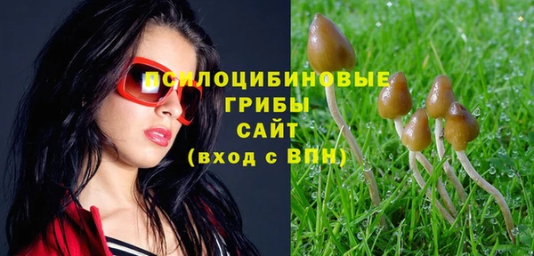 твердый Армянск